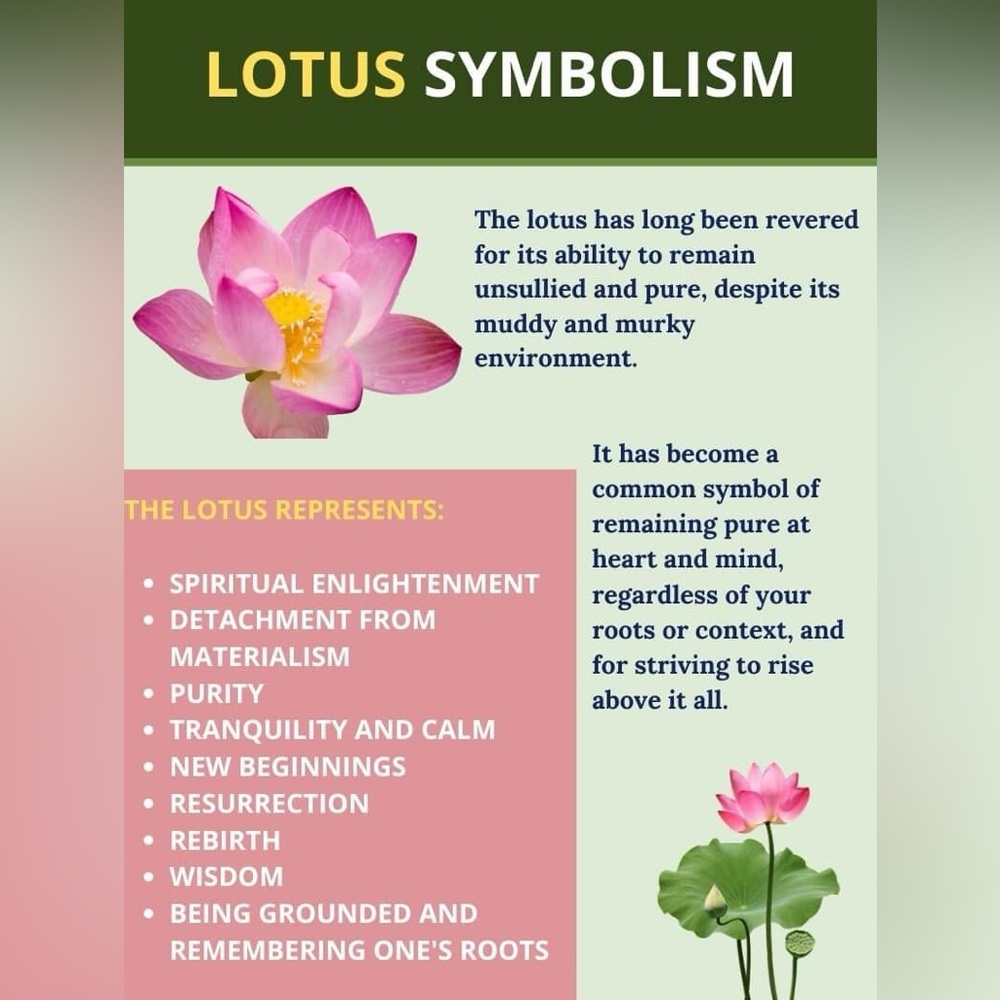 Pink Lotus Flower Croc Shoe Charm Jibbitz 5/$20 - Picture 2 of 3